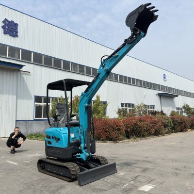 2 Ton Crawler Mini Hydraulic excavator